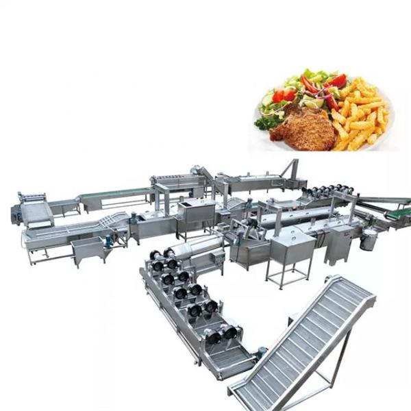Máquina de fazer batatas fritas congeladas de alta produtividade 3500 kg