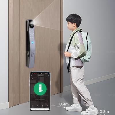 Tuya Fingerprint Biometric Face Recognition Door Lock Smart Password Card Key Access