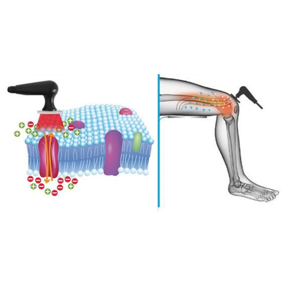 Глубокая нагревая машина терапией Tecar массажа для боли тела
