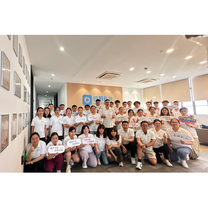 Shanghai DST Sensor Co., Ltd.