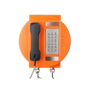 Outdoor Public Call Station Analog Explosion-Proof Telephone with IP66 Protection, Stainless Steel Keypad, and 30W Built-in Amplifier