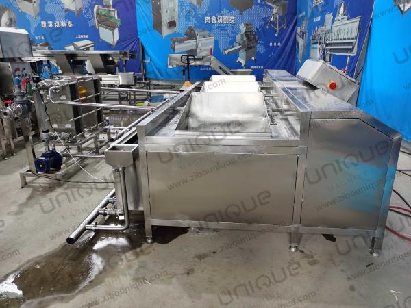 Sand Blasting Surface Fruit and Vegetable Batch Washer for Style Salad Washing Machine
