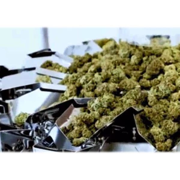 50 Gram Marijuana Buds Multihead Weighing Machine Micro Weigher