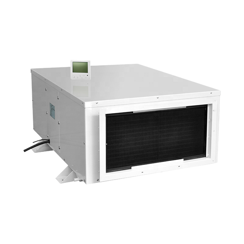 240L/D Low Price High Temperature Resistant Ceiling Mounted Dehumidifier Vegetable Room Air Dry for Industrial
