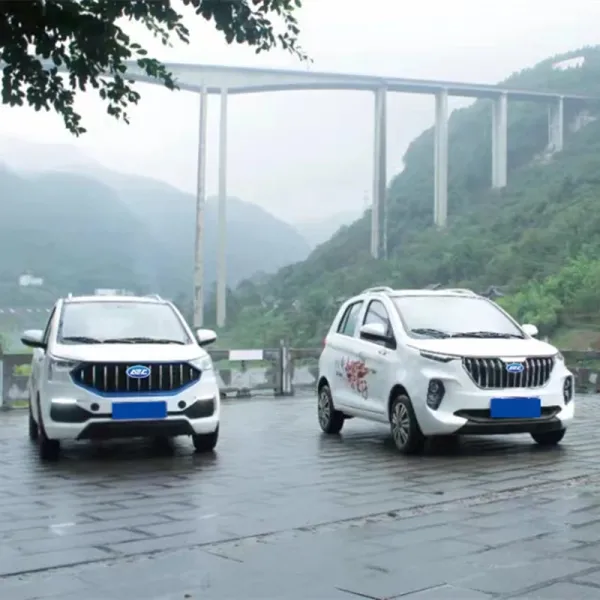 Raysince New model electric vehicle 4 Seats 5 door China high speed electric car