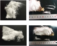 LFT-D Long Glass Fiber Thermoplastic Extrusion Machine Co-Rotating Twin Screw Extruder