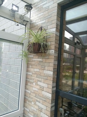 Green Flower Stand Hanging Wall Indoor Balcony Hanging Semi-Circular Flower Stand