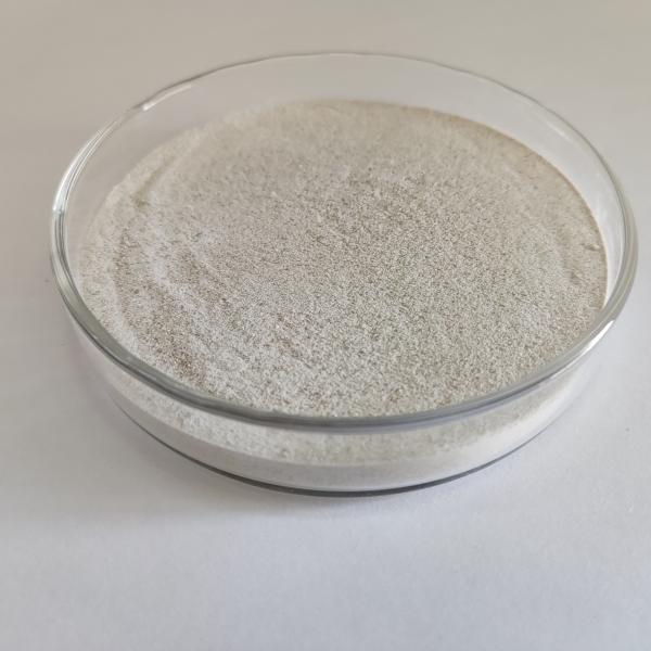 Feed Grade Catalase: High-Performance Enzyme for Livestock Health