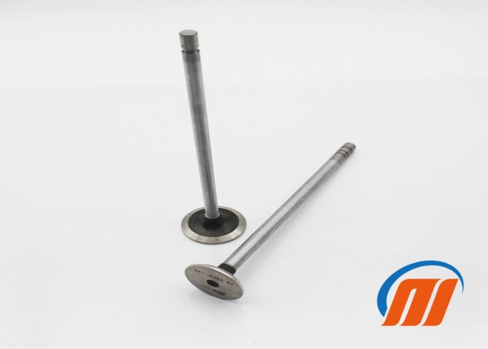 330D Excavator Engine Parts 241-8382 241-8383 C9 Engine Intake Exhaust Valve