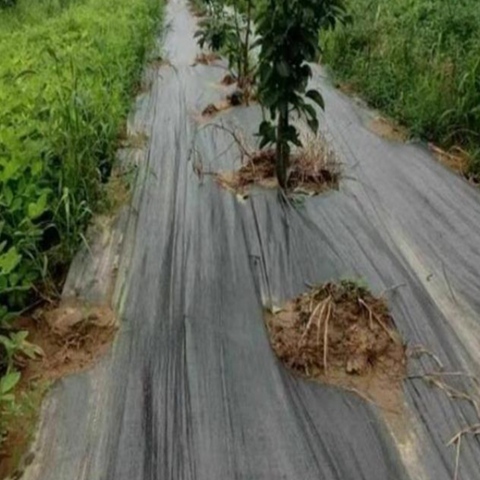 Premium Fabric Ground Cloth Weed Barrier With Superior Permeability Weed Control