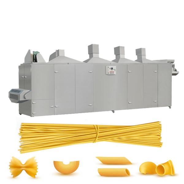 linha de produção industrial do macarrão da massa 250kg/H que faz a máquina 380V 50HZ 3PHASE