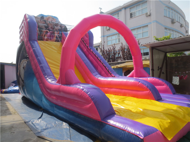 Popular Factory Custom Outdoor pink Inflatable Bouncer Slide/inflatable Dry Slide/Bounce House for Party Rentals