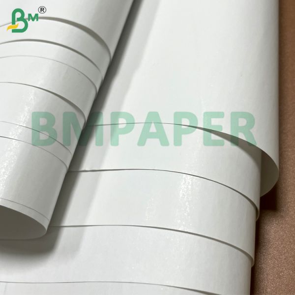 55g 80g 400mm 405mm 565mm White Thermal Paper Rolls for Lottery ATM Labels & Records 55g 80g 400mm 405mm 565mm Rollos de papel térmico blanco para los cajeros automáticos de lotería Etiquetas y registros