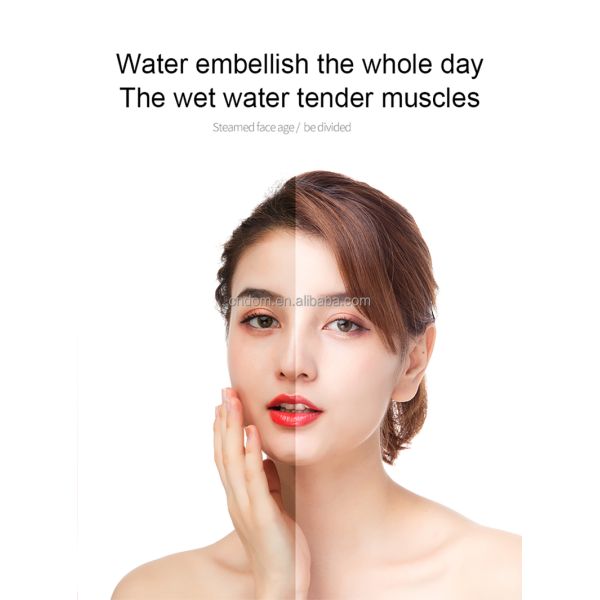 Gross Weight 1300g 2023 Newest Nano Facial Steamer for Salon Humidifier Multifuncional
