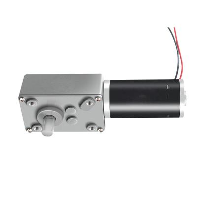 Faradyi Customized High Torque Micro Electric Motor Drive Bldc Worm Gear Dc Motor