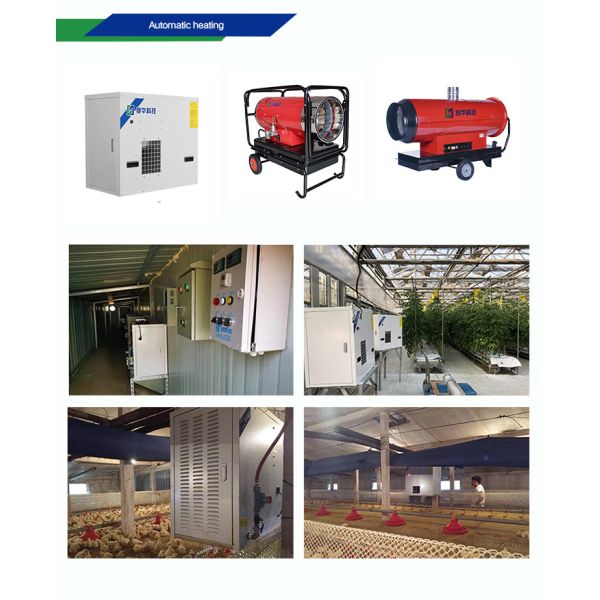 Automatic Poultry Equipment with Hot-dip Galvanized Steel for 50-Year Service Life and Customized Dimensions