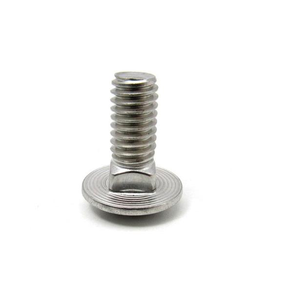 ANSI B18.51 Stainless Steel Carriage Bolt , Round Head Square Neck Bolts Din 603
