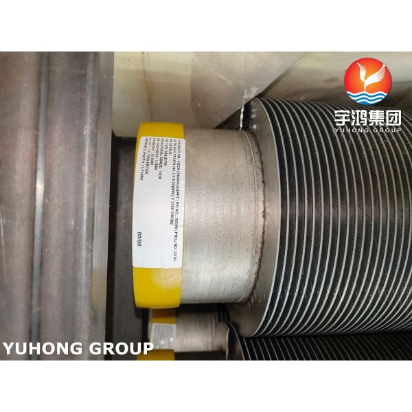 ASTM A376 TP347H （1.4961）Staimless Steel Solid Fin Tube with 11Cr Fins For Power Plant