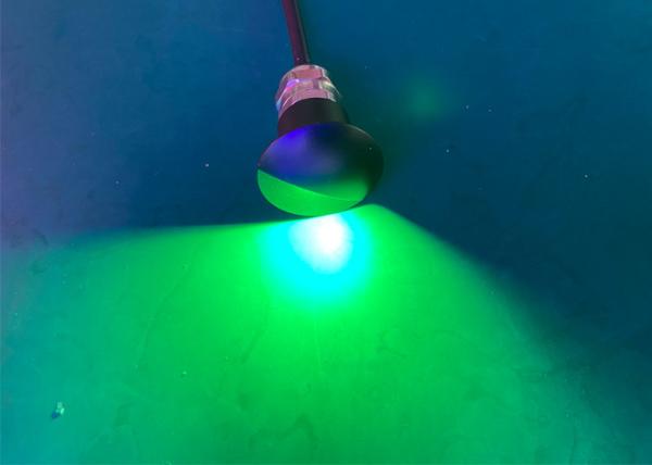 MultiColor Red Green Blue Marine Led Courtesy Lights Warm White