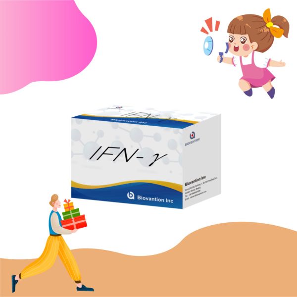 Lab research Elisa Reagents Kit for Human use IFN-γ Elisa Reagents High sensitivity