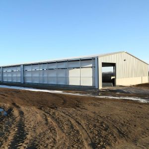Premium Pre-Engineered Steel Cattle Shelter Easy Assembly