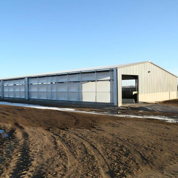 Expandable Steel Structure Cattle Shed for Livestock Farming