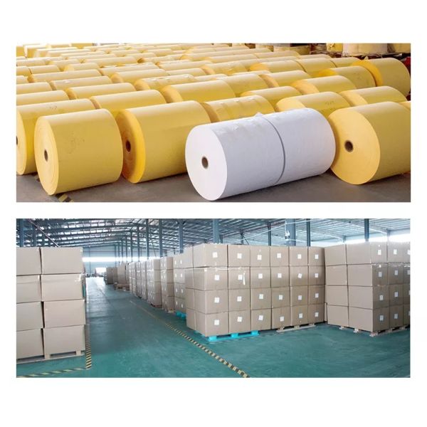 TSCX Biodegradable Eco Friendly Recyclable Logistics Packaging Protective Compostable Wrap Gift Cushioning Gift Honeycomb Paper