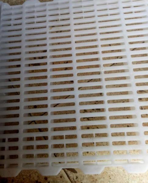 Goat Sheep PP 200kgs Plastic Slat Floor 500mm Hog Flooring Plastic