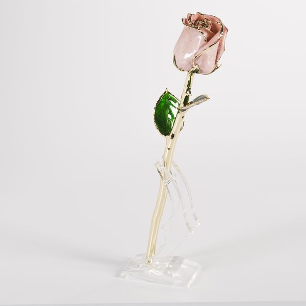 24k Gold Plated Rose Fresh Rose with Stem Present  Rose Gift Valentine Mother Day Eternal Rose Preserved Flower