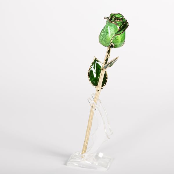 Gold Plated Rose  Wholesale Green Fresh Rose with Stem Present  Rose Gift Valentine Mother Day