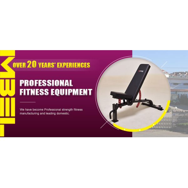 Sit Up Bench Exercise Equipment with Metal Frame and Red Adjustable Backrest