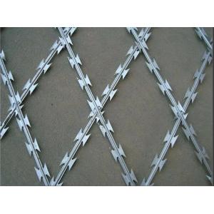 Welded Wire Mesh
