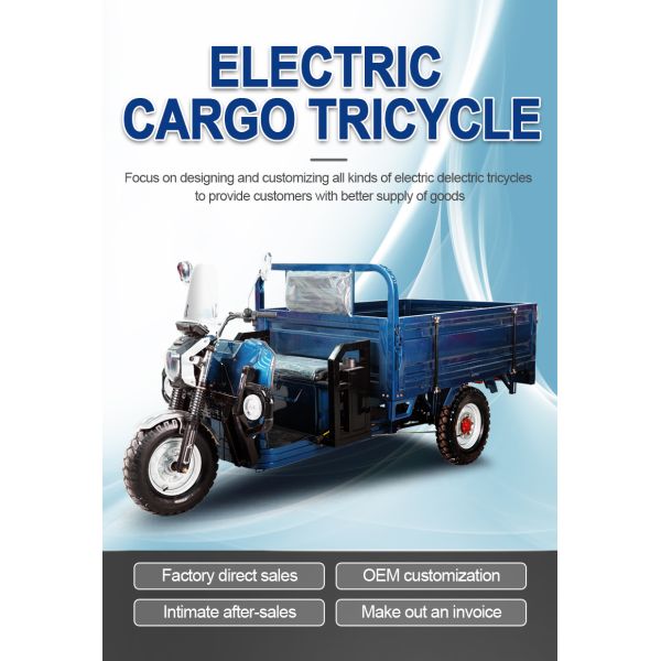 Three Wheeler Battery Electric Cargo E Rickshaw Tricycle 2000W Fast Charging