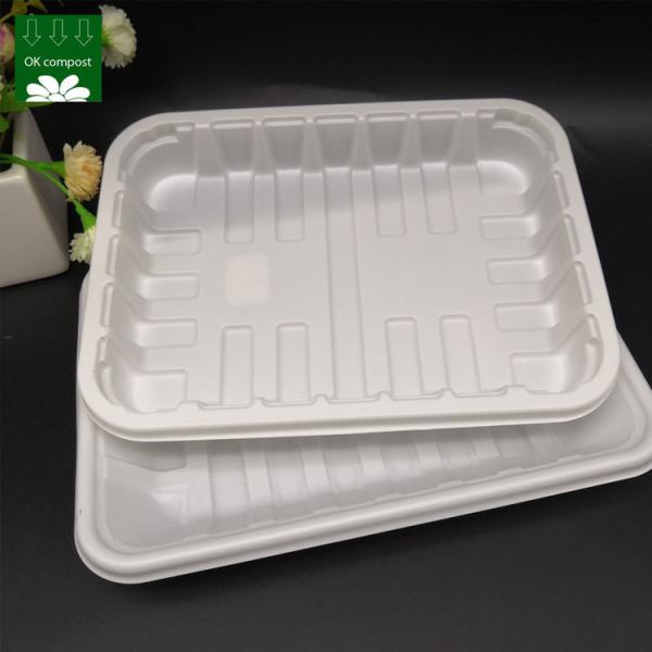OEM Service 100% PLA Biodegradable Disposable Plastic Food Plates Round Dish Meat Trays Bioplastic Sushi Trays