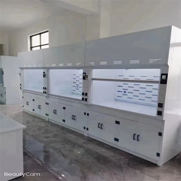 Customized Made Wall Mounted Chemical Fume Hood With Scrubber Systems