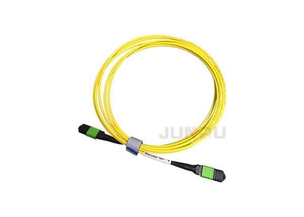 FC LC SC G652D G657A Single Mode Fiber Patch Cord OM3 MM 12 24 Core