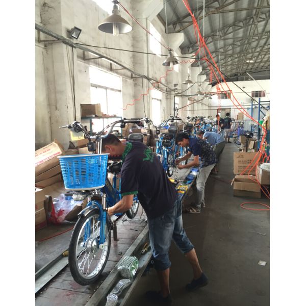 GUANGDONG EV NEW ENERGY CO.,LTD