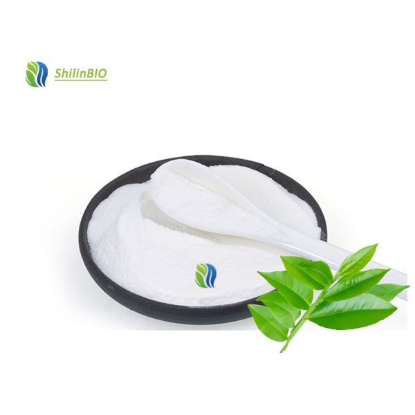 Food Grade Natural Green Tea Extract Powder Tea Polyphenols  EGCG,40%-98%