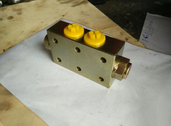 High quality Hydraulic Lock for XCMG truck mounted crane SQ16ZK4Q,XCMG truck crane spare parts