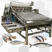 Máquina de classificação de Saury de alta velocidade Saury Roller Grader 5 pessoas Operador