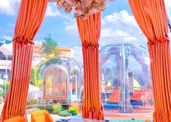 Waterproof PC PVC Glamping Geodesic Dome House Transparent
