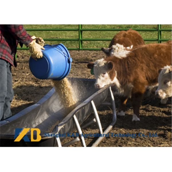 Livestock Fish Bone Meal / Fish Powder Fertilizer Maintain Normal Metabolism