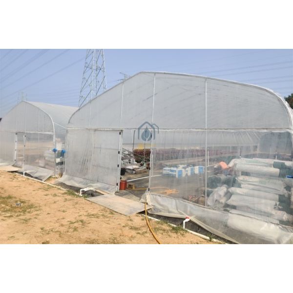 Agriculture High Tunnel Greenhouse Heat Preservation / Rain Protection Walk In Greenhouse