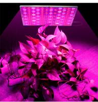Planta interior llena del espectro 45W 85V crecer ligero