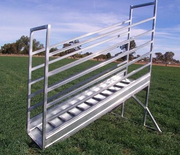 Hot-dipped galvanized sheep Loading Ramp