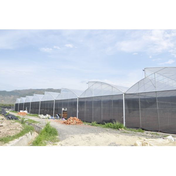 Промышленный парник фермы цветка сточной канавы парников 3.0m-6.0m полиэтиленовой пленки Sawtooth