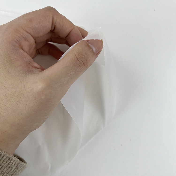 Печенье 100% Compostable Biodegradable кладет украшение в мешки морозя Tipless торта с соплами