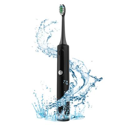 Rechargeable Travel Vibration Automatic Sonic Electric Toothbrush with LCD for Adults
