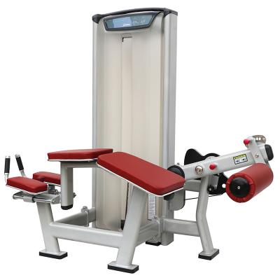 Exercício básico do isolamento da estrutura comercial propensa da soldadura do equipamento do Gym da onda de pé