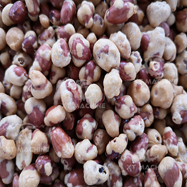 Rostador de frutos secos de acero inoxidable 304 100 kg/h